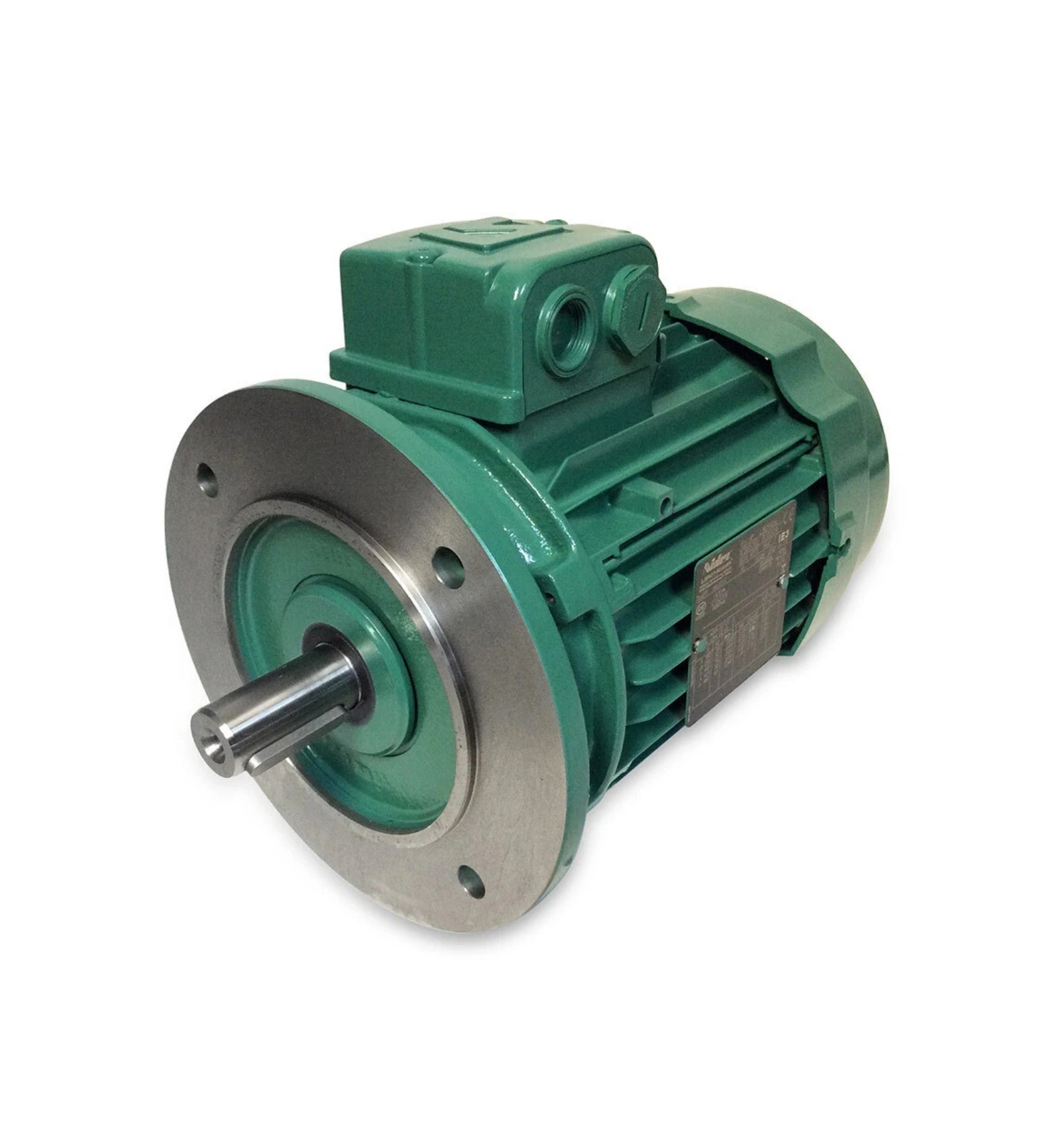 Flange Motor